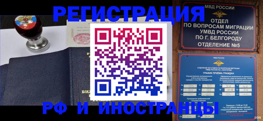 временная регистрация поиск в Новгородской области